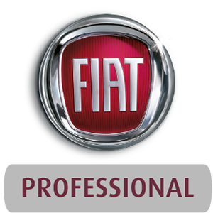 Fiat professionnel